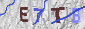 キャプチャ画像