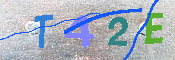 キャプチャ画像