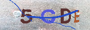 キャプチャ画像