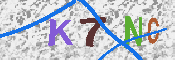 キャプチャ画像