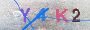 キャプチャ画像