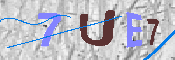 キャプチャ画像