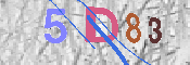 キャプチャ画像