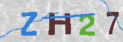 キャプチャ画像