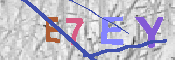 キャプチャ画像
