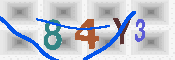 キャプチャ画像