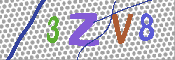 キャプチャ画像